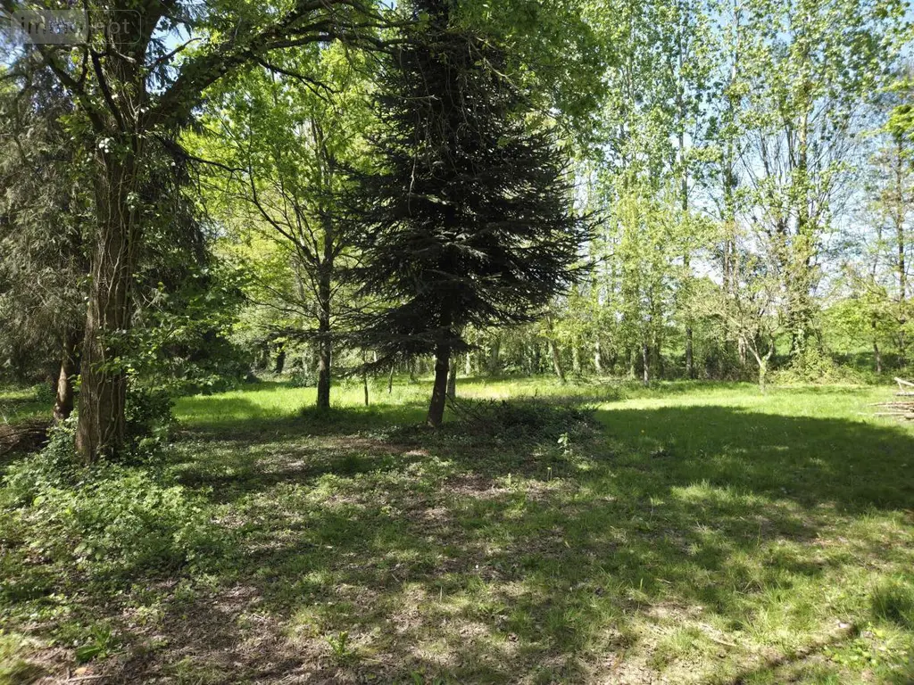 Terrains de loisirs bois etangs a vendre La Roche-Neuville 53200 Mayenne 53 95700 euros 53073-1758 016