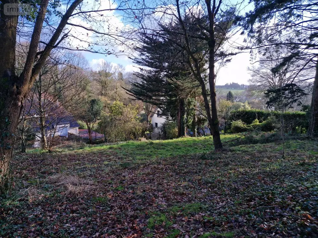 Terrain a batir a vendre Val d'Oust 56460 Morbihan 56 34100 euros 56050-690 003