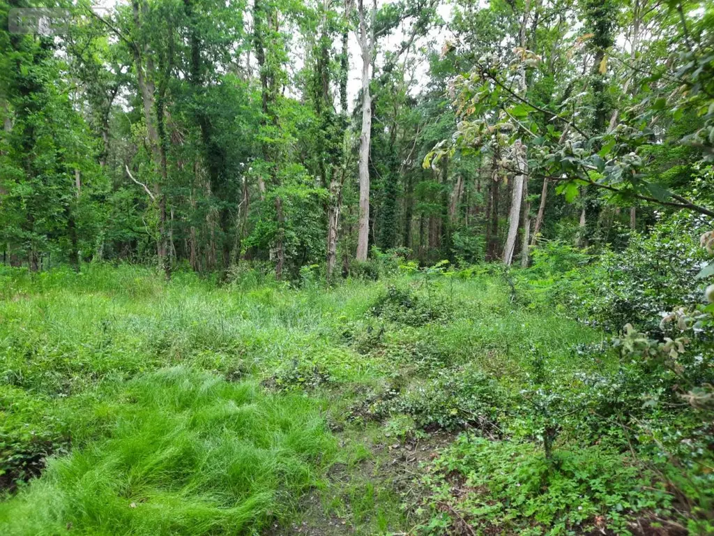 Terrain a batir a vendre Soullans 85300 Vendée 85 106600 euros 85091-5099 004