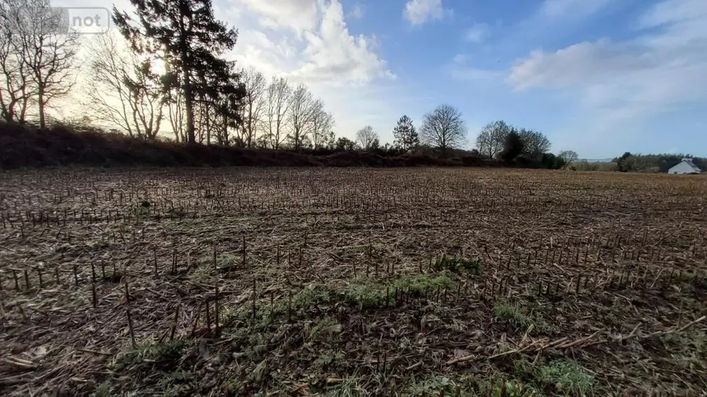 Terrain a batir a vendre Cléden-Poher 29270 Finistère 29 53235 euros 29066-3771 003