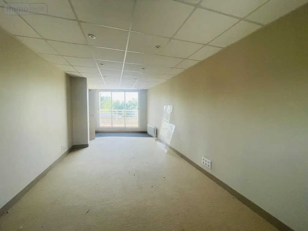 Location fonds et murs commerciaux Saint-Philbert-de-Grand-Lieu 44310 Loire-Atlantique 44 127 m2 1300 euros 44039-L328 003