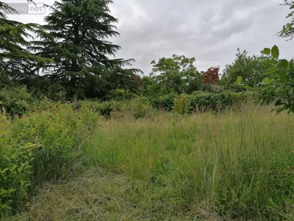Maison a vendre Descartes 37160 Indre-et-Loire 37 64 m2 3 pièces 115500 euros 37082-269 008