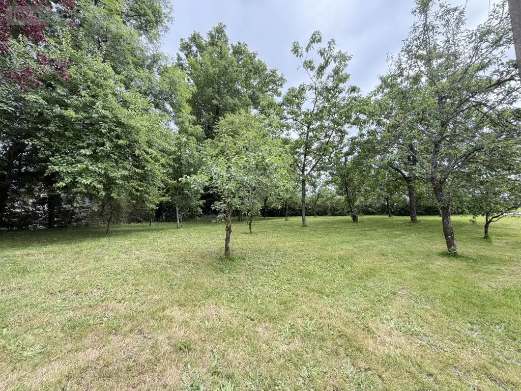 Maison a vendre Languidic 56440 Morbihan 56 206 m2 7 pièces 395120 euros 56064-1550 015