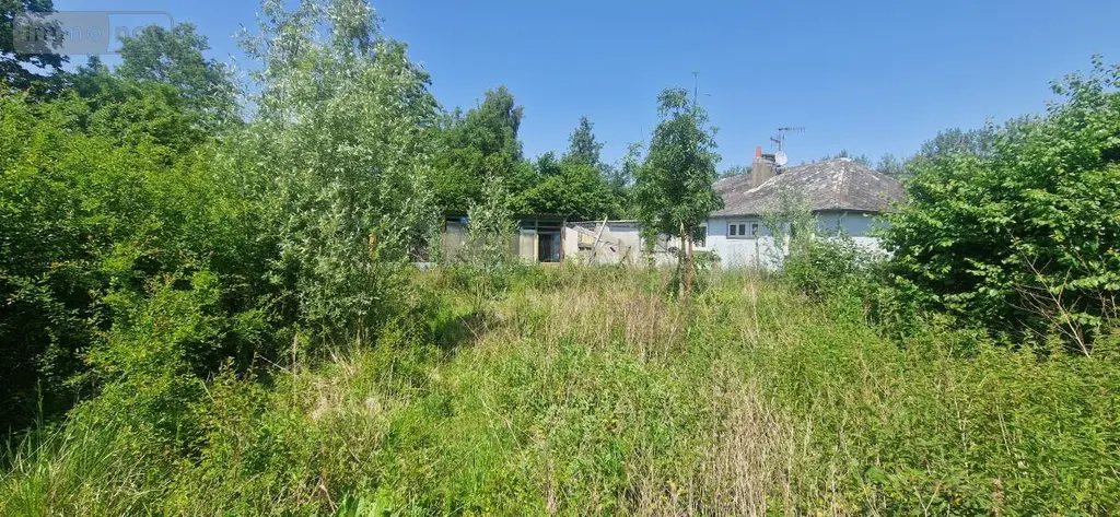 Maison a vendre Fromelles 59249 Nord 59 100 m2 194550 euros 59032-3741 003