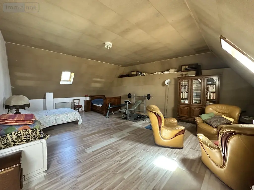 Maison a vendre Neuvéglise-sur-Truyère 15260 Cantal 15 200 m2 245000 euros 15046-47 016