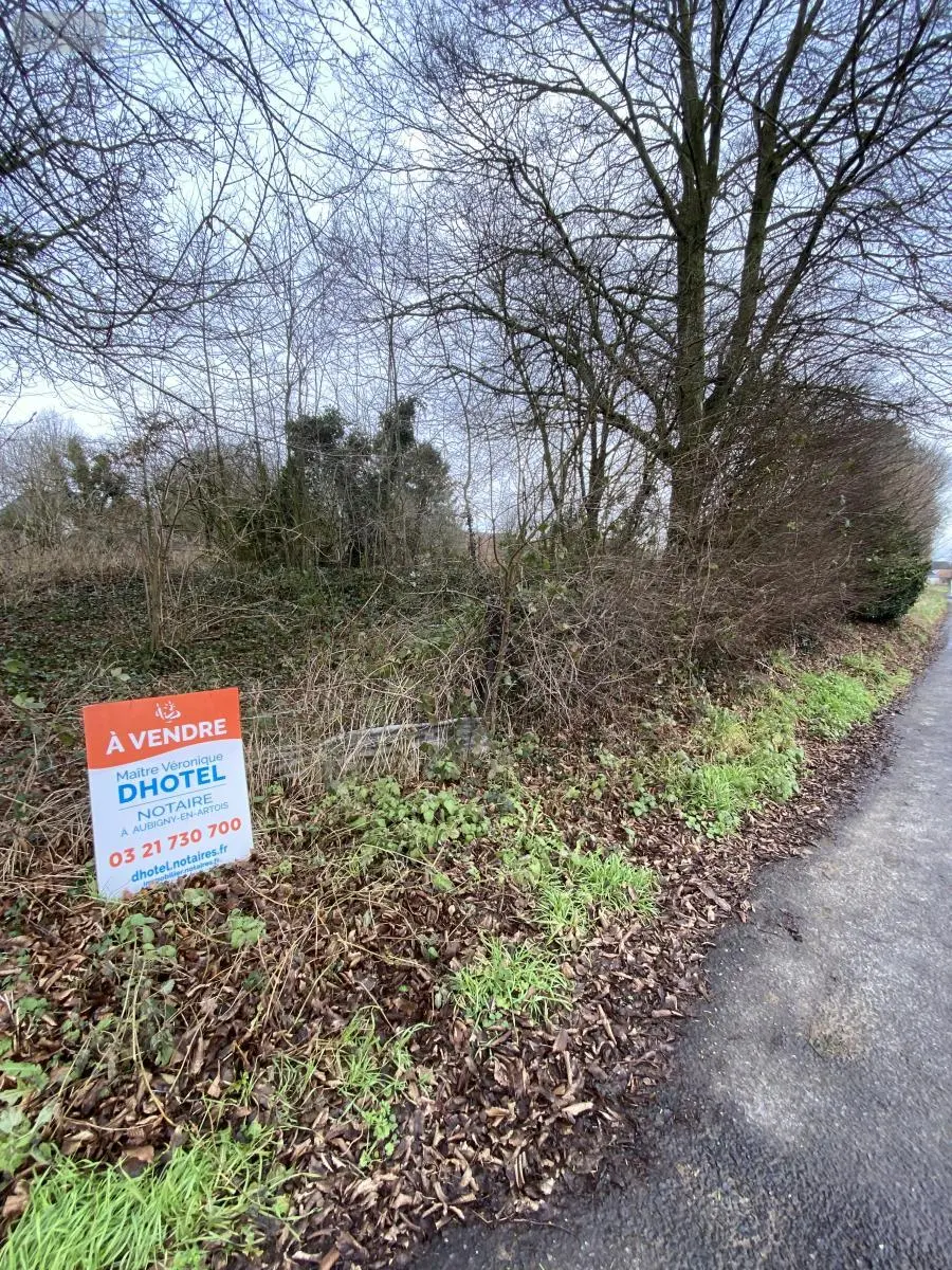Terrain a batir a vendre Bailleulval 62123 Pas-de-Calais 62 47700 euros 62114-776 005