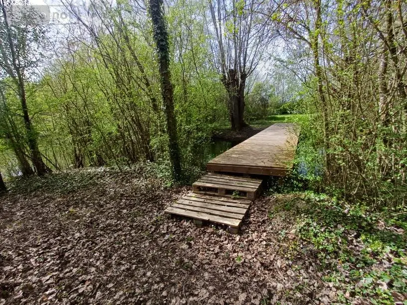 Terrains de loisirs bois etangs a vendre Amiens 80000 Somme 80 135000 euros 80011-5566 003