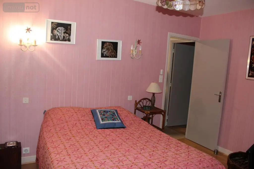 Viager maison Cusset 03300 Allier 03 135 m2 6 pièces 100440 euros 63022-12 009