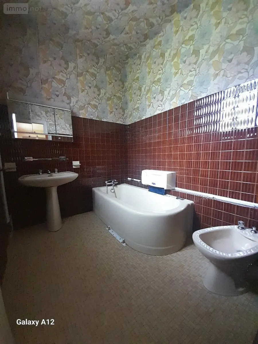 Maison a vendre Lectoure 32700 Gers 32 222 m2 8 pièces 205000 euros 32002-1392 009