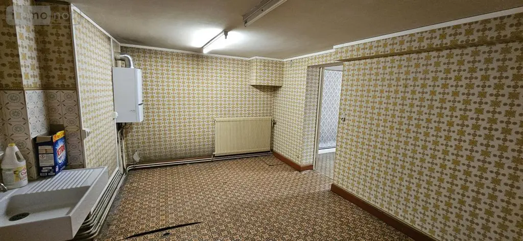 Maison a vendre Raon-l'Étape 88110 Vosges 88 119 m2 49900 euros 88061-836 007