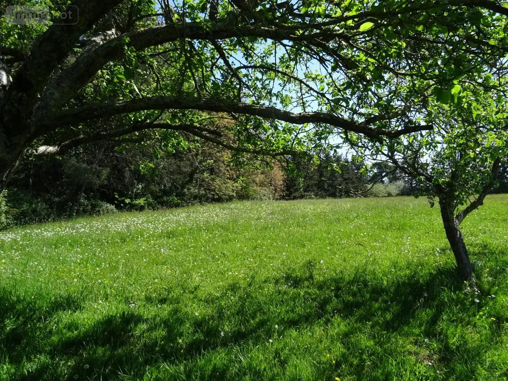 Maison a vendre Maisoncelles-du-Maine 53170 Mayenne 53 232 m2 9 pièces 385000 euros 53079-1415 004