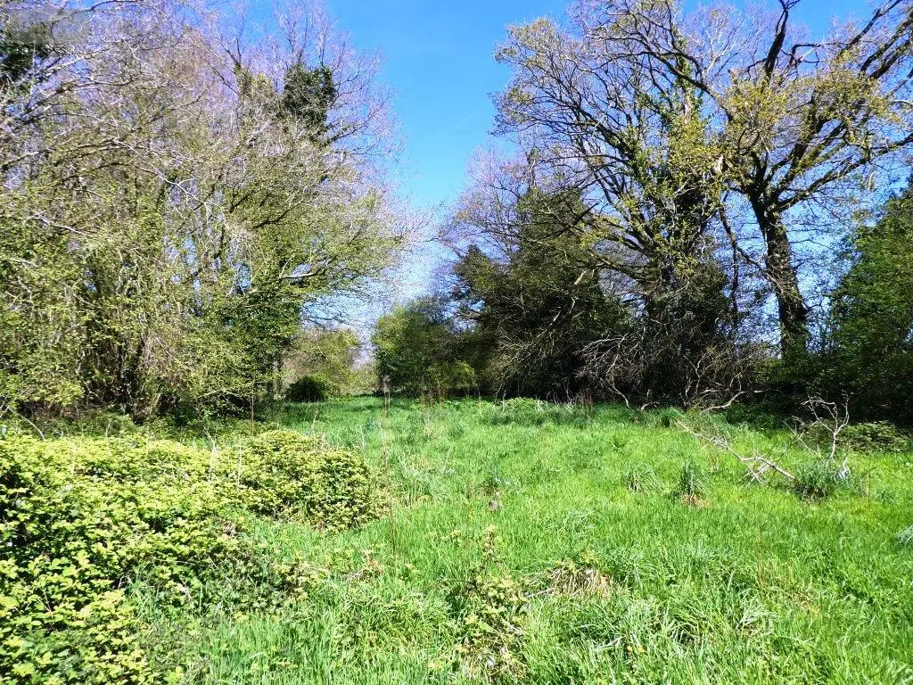 Maison a vendre Maël-Carhaix 22340 Côtes-d'Armor 22 130 m2 5 pièces 145470 euros 56075-2218 006