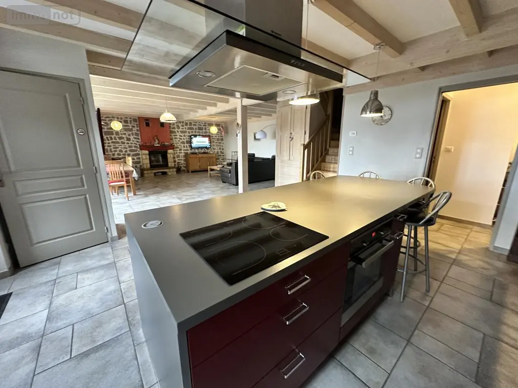Maison a vendre Cézens 15230 Cantal 15 168 m2 249000 euros 15046-63 002
