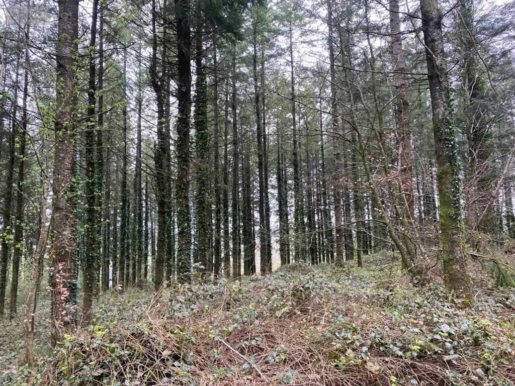 Terrains de loisirs bois etangs a vendre Champ-du-Boult 14380 Calvados 14 56710 euros 14076-5853 006