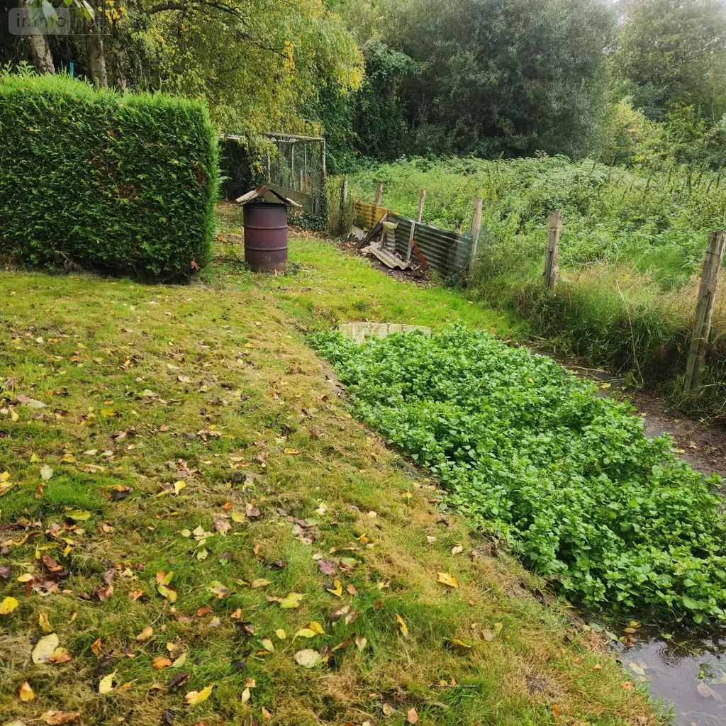 Terrains de loisirs bois etangs a vendre Lamnay 72320 Sarthe 72 9300 euros 72085-2210 006