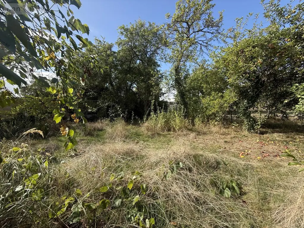 Terrain a batir a vendre Gueux 51390 Marne 51 300000 euros 51066-2115 005