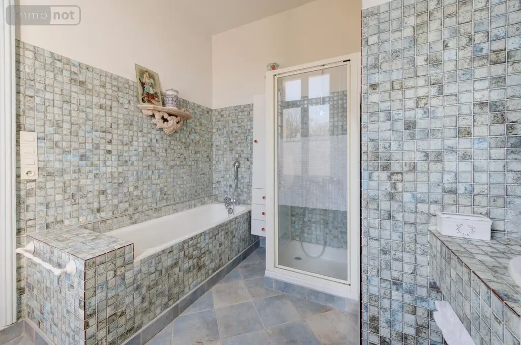 Maison a vendre Neuvy-le-Roi 37370 Indre-et-Loire 37 240 m2 7 pièces 478400 euros 37107-57 008