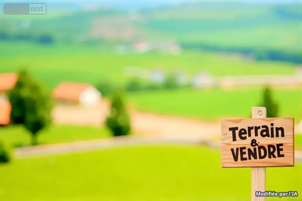 Terrain a batir a vendre Neuil 37190 Indre-et-Loire 37 53200 euros 37072-664 001
