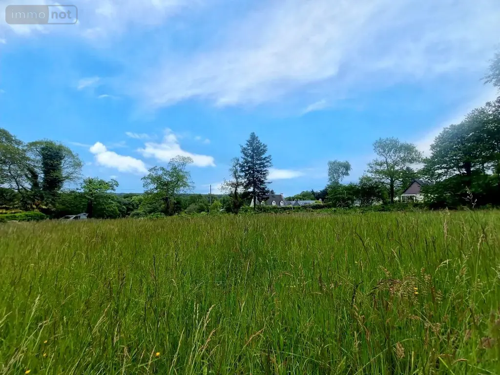 Terrain a batir a vendre Camors 56330 Morbihan 56 78100 euros 56040-624 001