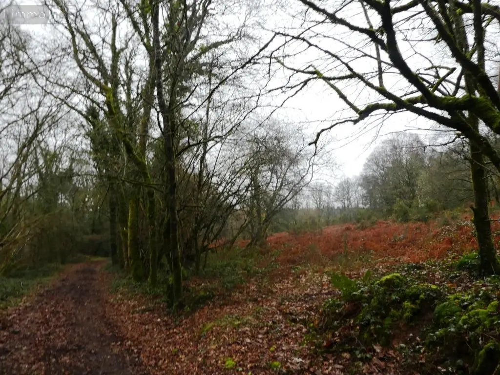 Terrains de loisirs bois etangs a vendre Saint-Tugdual 56540 Morbihan 56 10600 euros 56075-2343 011