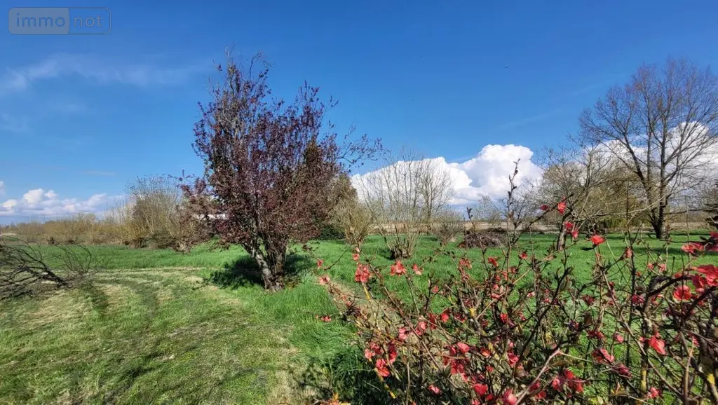 Maison a vendre Marans 17230 Charente-Maritime 17 89 m2 3 pièces 227240 euros 17015-505 020