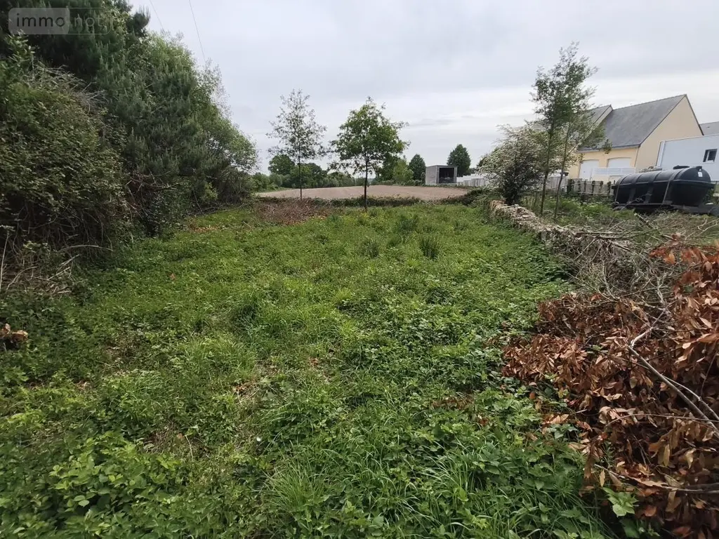 Terrain a batir a vendre Herbignac 44410 Loire-Atlantique 44 115500 euros 56014-790 001