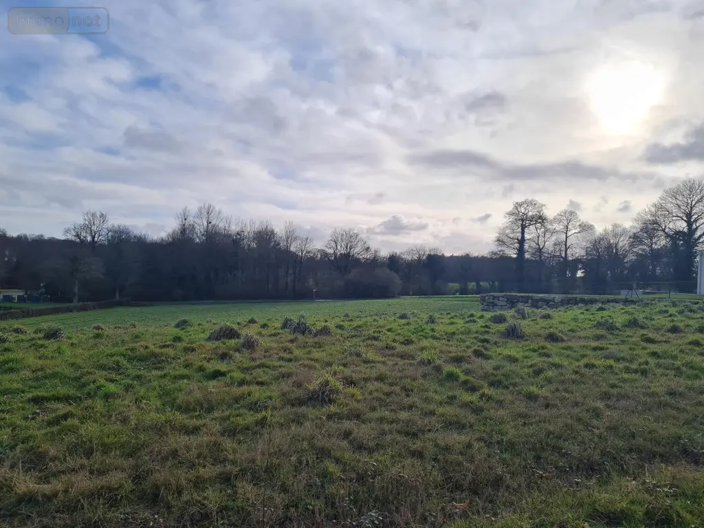 Terrain a batir a vendre Pleugriffet 56120 Morbihan 56 27400 euros 56053-2511 001