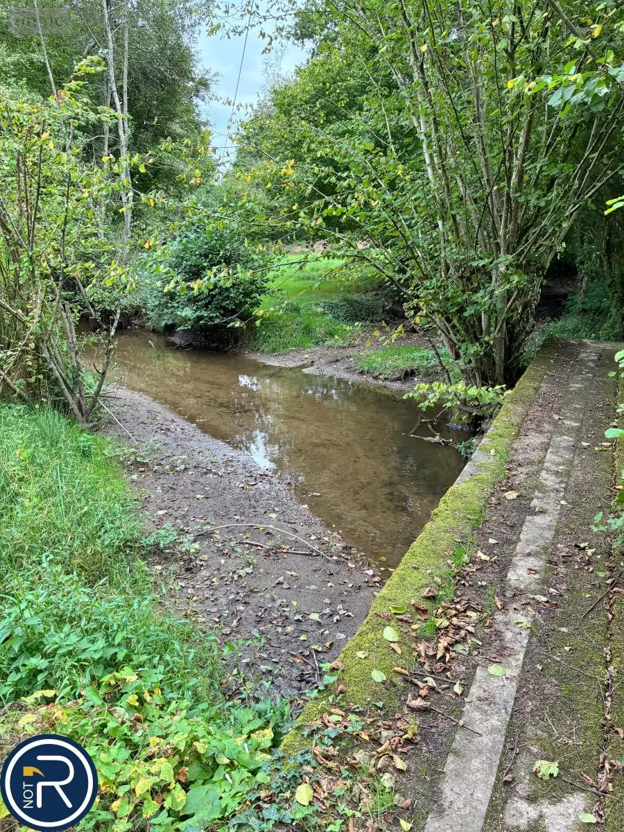 Terrains de loisirs bois etangs a vendre Montaudin 53220 Mayenne 53 13500 euros 53004-1253 007