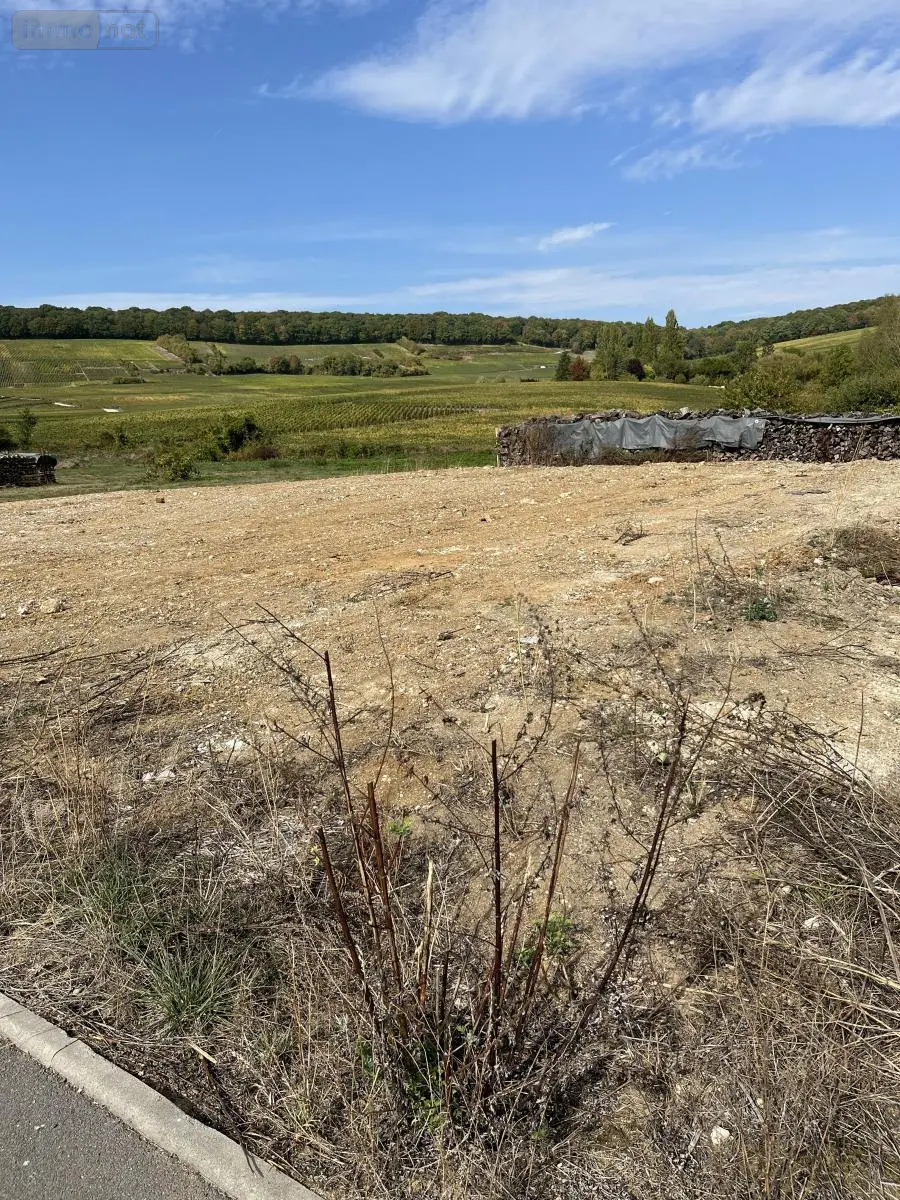 Terrain a batir a vendre Fleury-la-Rivière 51480 Marne 51 63600 euros 51022-2379 001