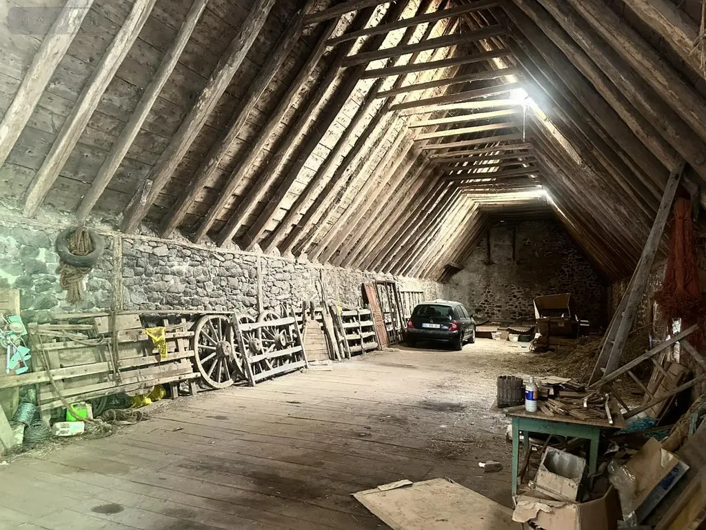 Maison a vendre Neuvéglise-sur-Truyère 15260 Cantal 15 90 m2 43000 euros 15046-91 011