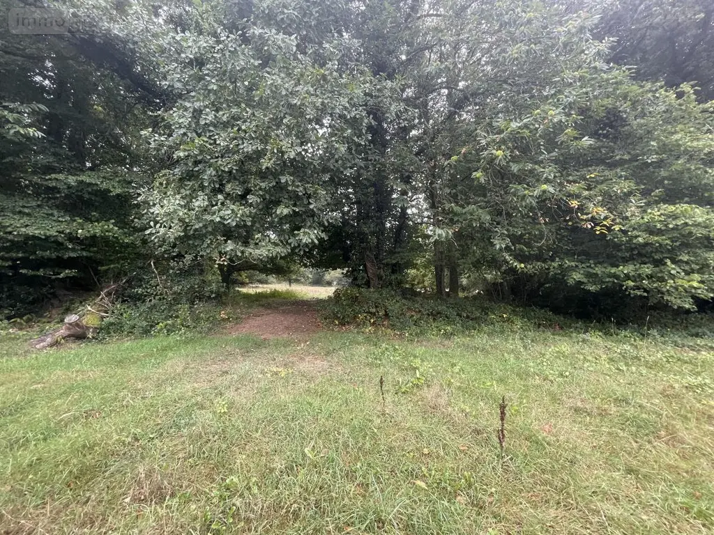 Terrains de loisirs bois etangs a vendre Le Faouët 56320 Morbihan 56 20600 euros 56081-2679 003