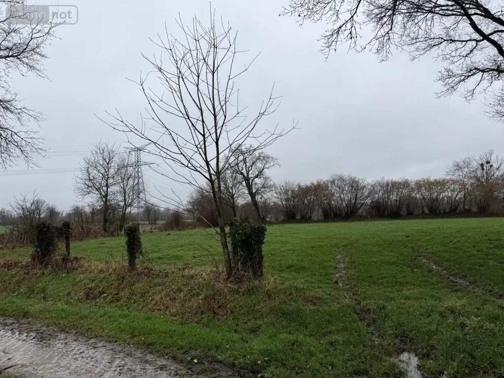 Terrains de loisirs bois etangs a vendre Saint-Aubin-des-Bois 14380 Calvados 14 82715 euros 50038-2709 004