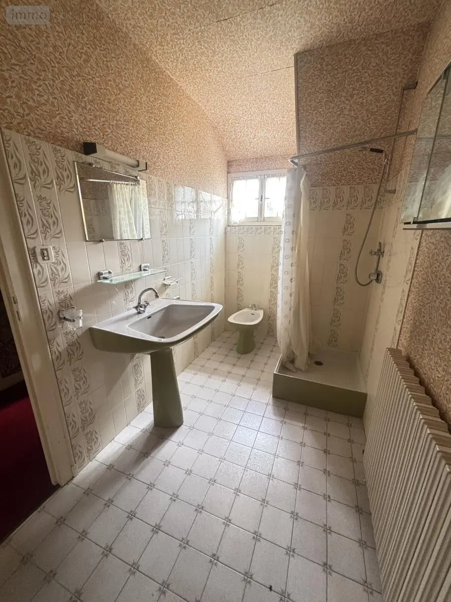 Maison a vendre Savigny-en-Septaine 18390 Cher 18 197 m2 7 pièces 212000 euros 18004-4231 013