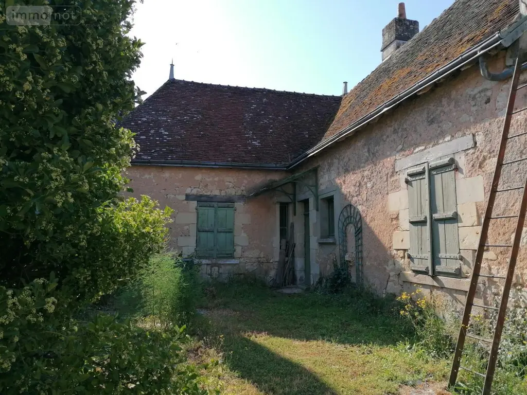 Maison a vendre Le Grand-Pressigny 37350 Indre-et-Loire 37 262 m2 10 pièces 225750 euros 37082-307 017