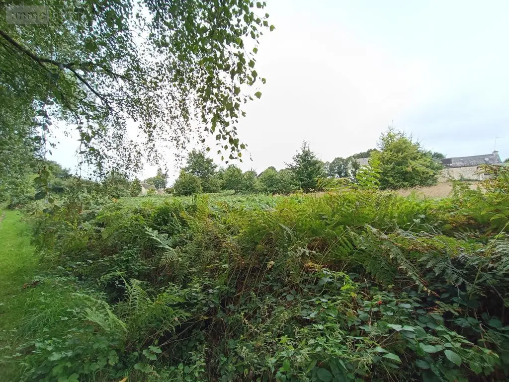 Terrains de loisirs bois etangs a vendre Cléguérec 56480 Morbihan 56 9700 euros 56062-1994 003