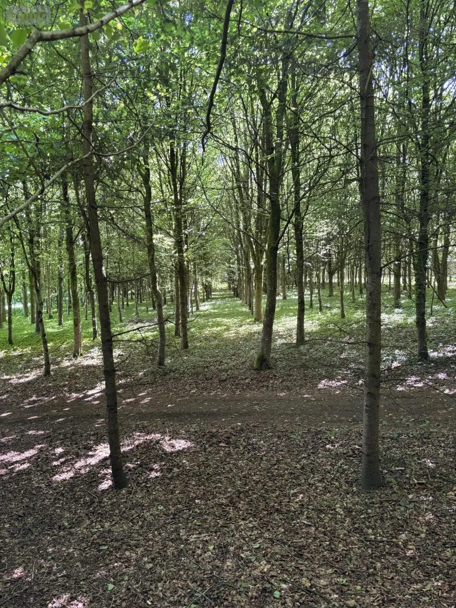 Terrains de loisirs bois etangs a vendre Noues de Sienne 14380 Calvados 14 168800 euros 14076-5956 008