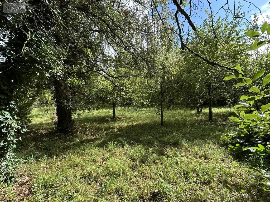 Maison a vendre Cardroc 35190 Ille-et-Vilaine 35 124 m2 285350 euros 35021-2096 009