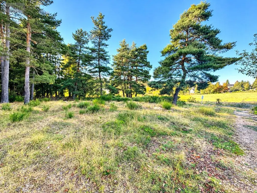 Terrain a batir a vendre Peyre en Aubrac 48130 Lozère 48 45000 euros 48032-265 003
