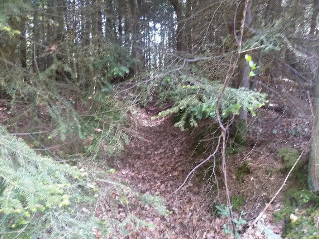 Terrains de loisirs bois etangs a vendre La Folletière-Abenon 14290 Calvados 14 6500 euros 14058-1510 004