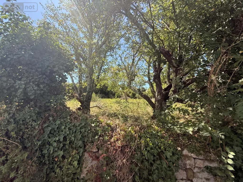 Terrain a batir a vendre Île-aux-Moines 56780 Morbihan 56 320000 euros 56089-137 003