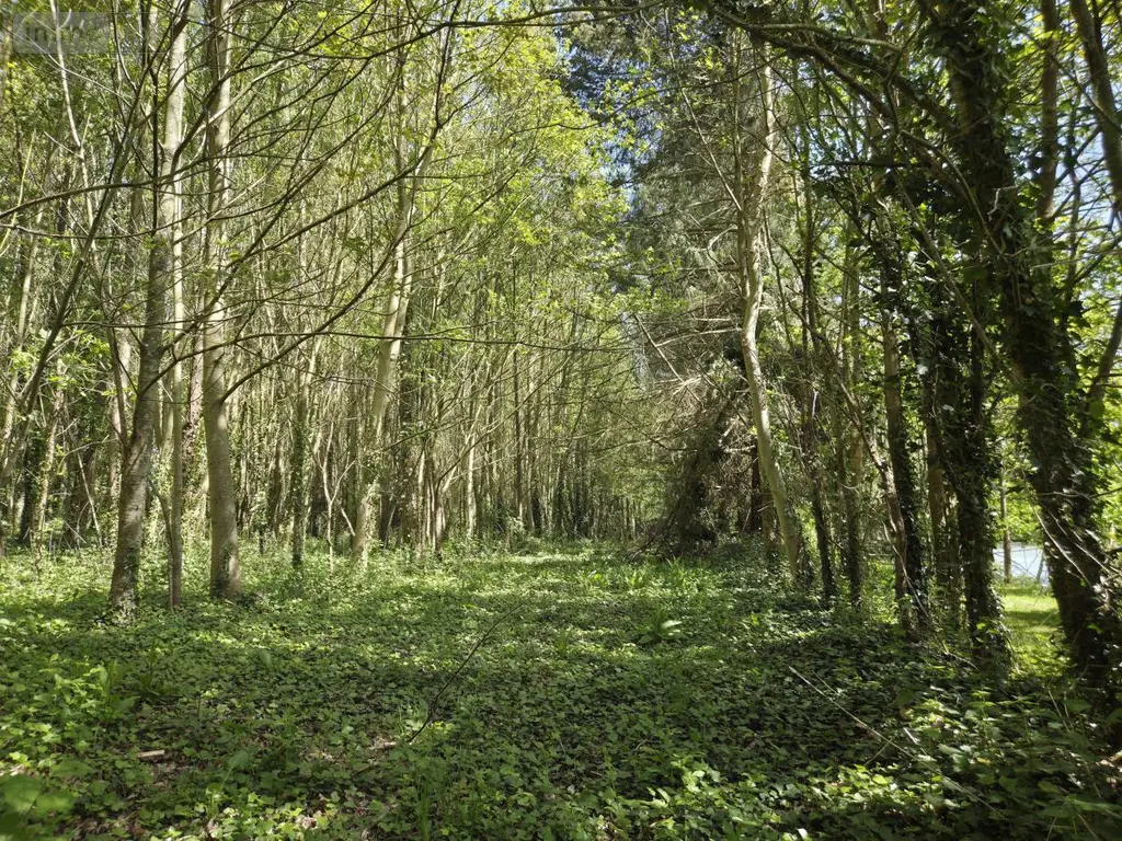 Terrains de loisirs bois etangs a vendre La Roche-Neuville 53200 Mayenne 53 95700 euros 53073-1758 003