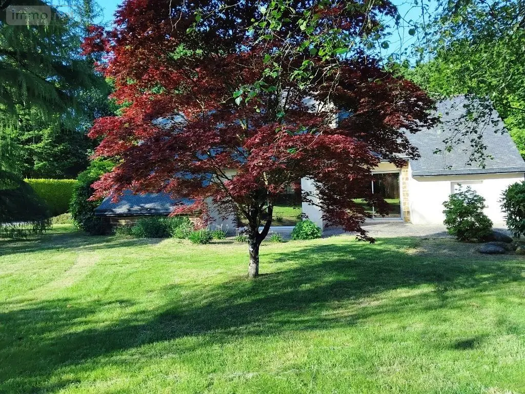 Maison a vendre Plélauff 22570 Côtes-d'Armor 22 97 m2 4 pièces 239500 euros 56075-2491 021