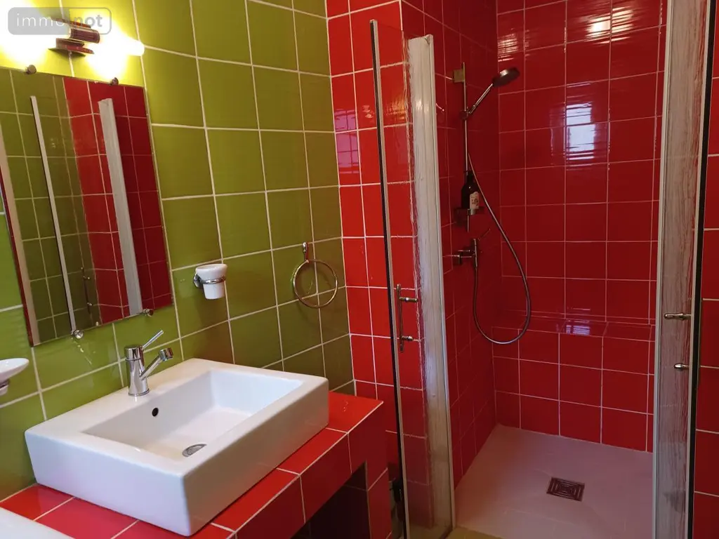 Maison a vendre Chinon 37500 Indre-et-Loire 37 250 m2 472250 euros 37094-24 012
