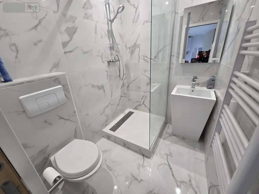 Immeuble de rapport a vendre Lille 59800 Nord 59 234 m2 931000 euros 59032-3742 009