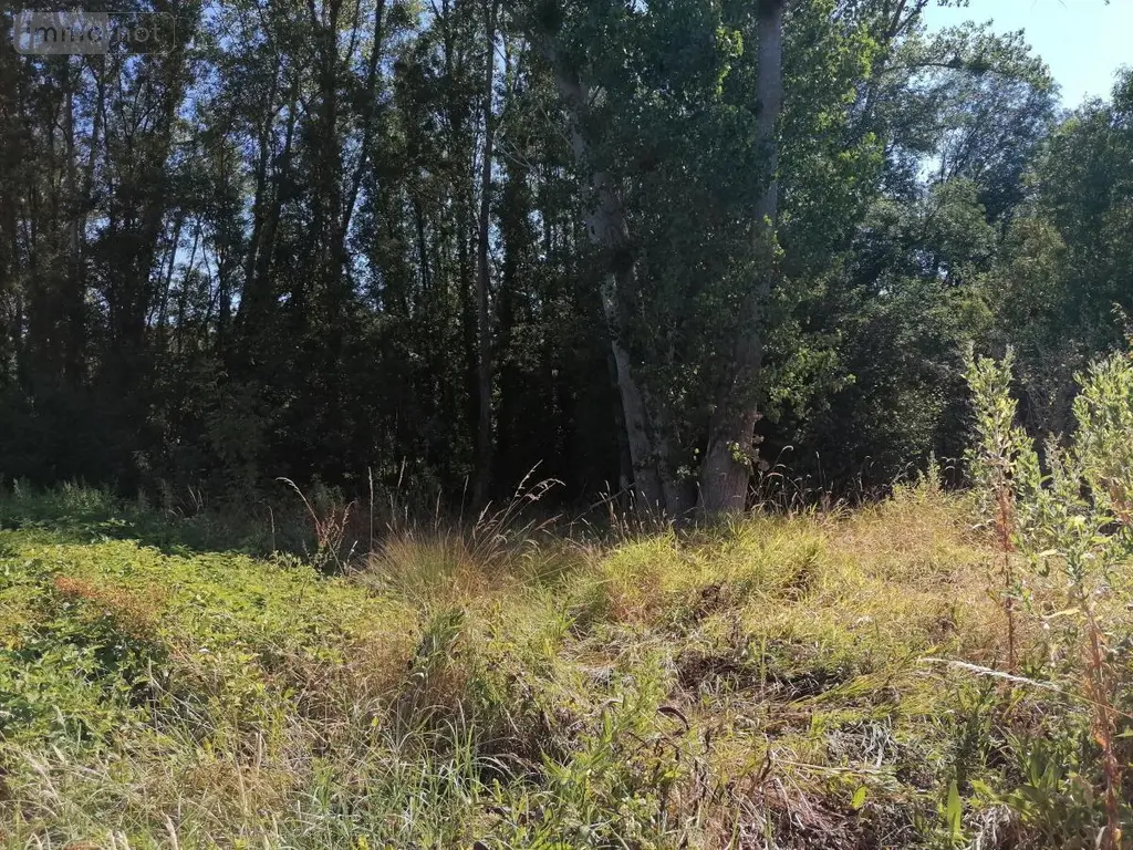 Terrains de loisirs bois etangs a vendre Barrou 37350 Indre-et-Loire 37 17850 euros 37082-314 004