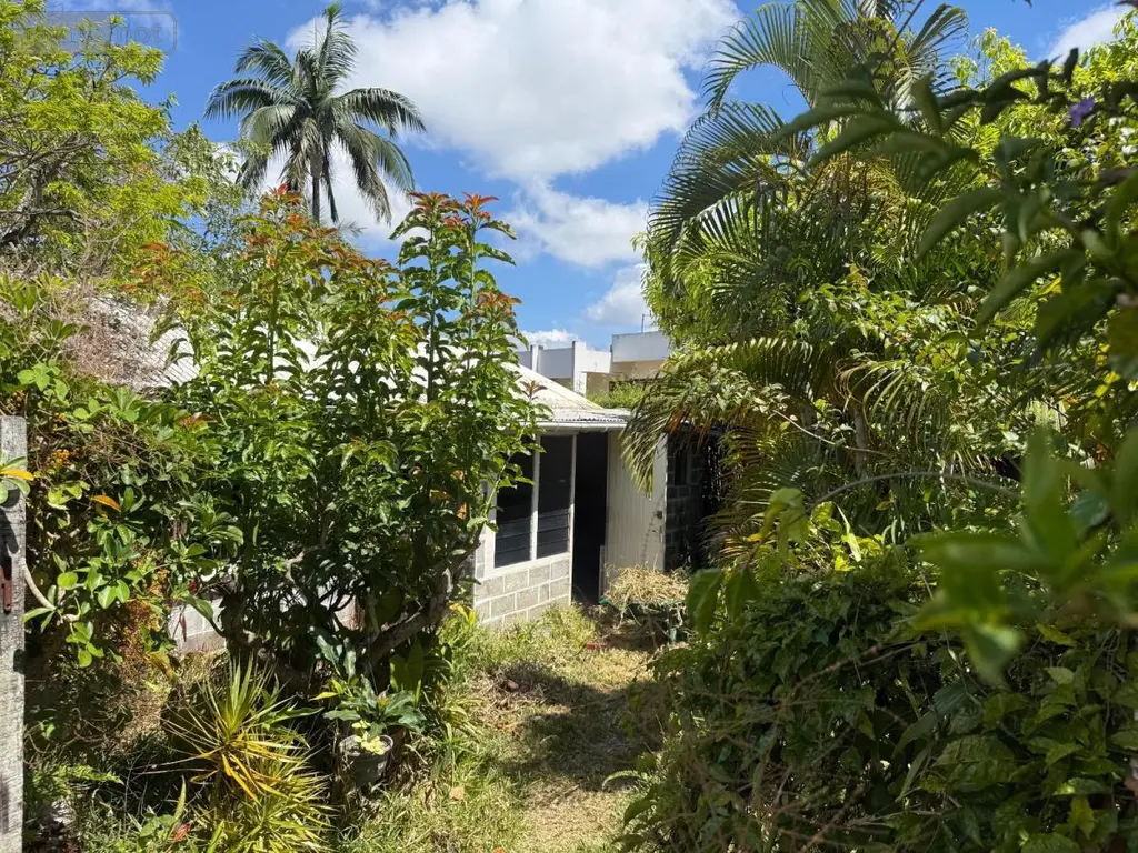 Maison a vendre Le Tampon 97430 La Réunion 974 163 m2 7 pièces 624000 euros 97410-721 018