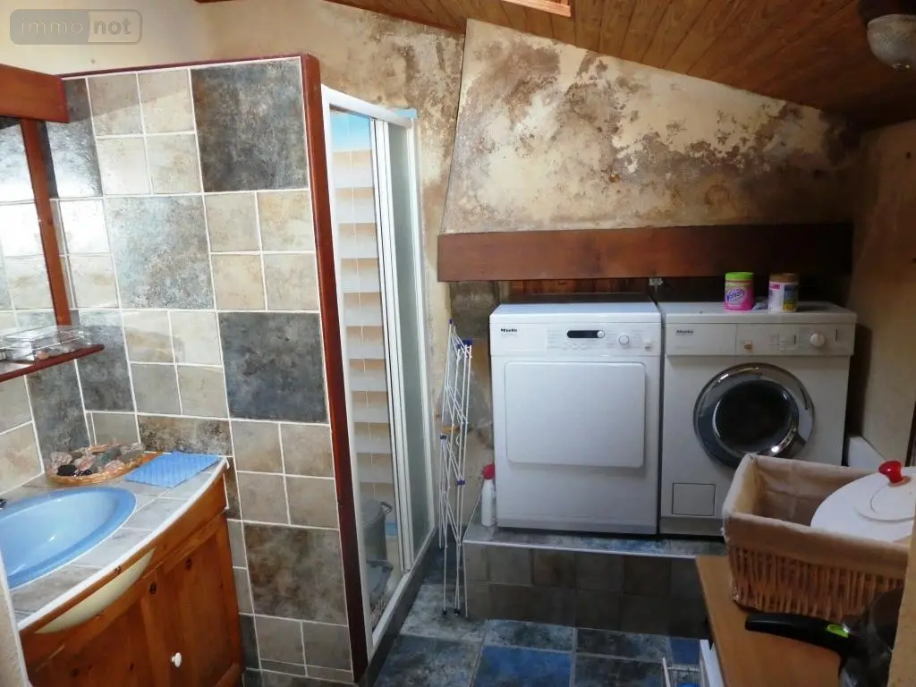 Maison a vendre Langoëlan 56160 Morbihan 56 280 m2 10 pièces 367000 euros 56075-2346 018