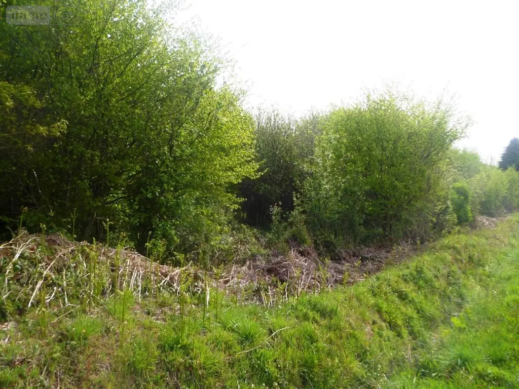 Maison a vendre Ploërdut 56160 Morbihan 56 100 m2 2 pièces 49550 euros 56075-2002 004