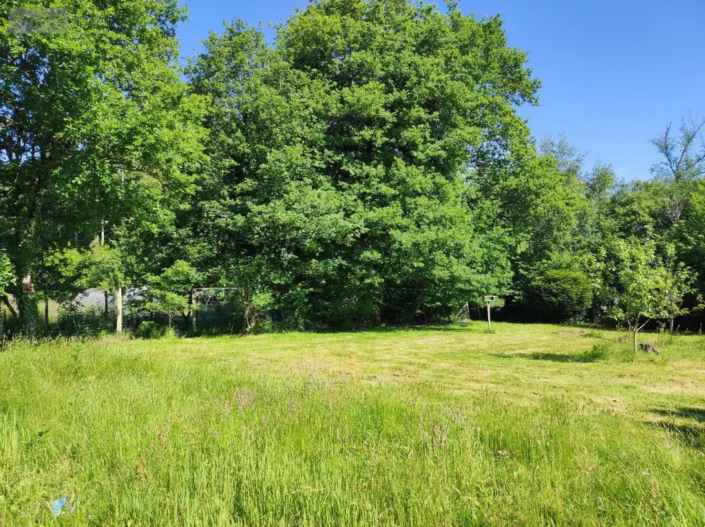 Terrain a batir a vendre Camors 56330 Morbihan 56 94680 euros 56064-1526 002