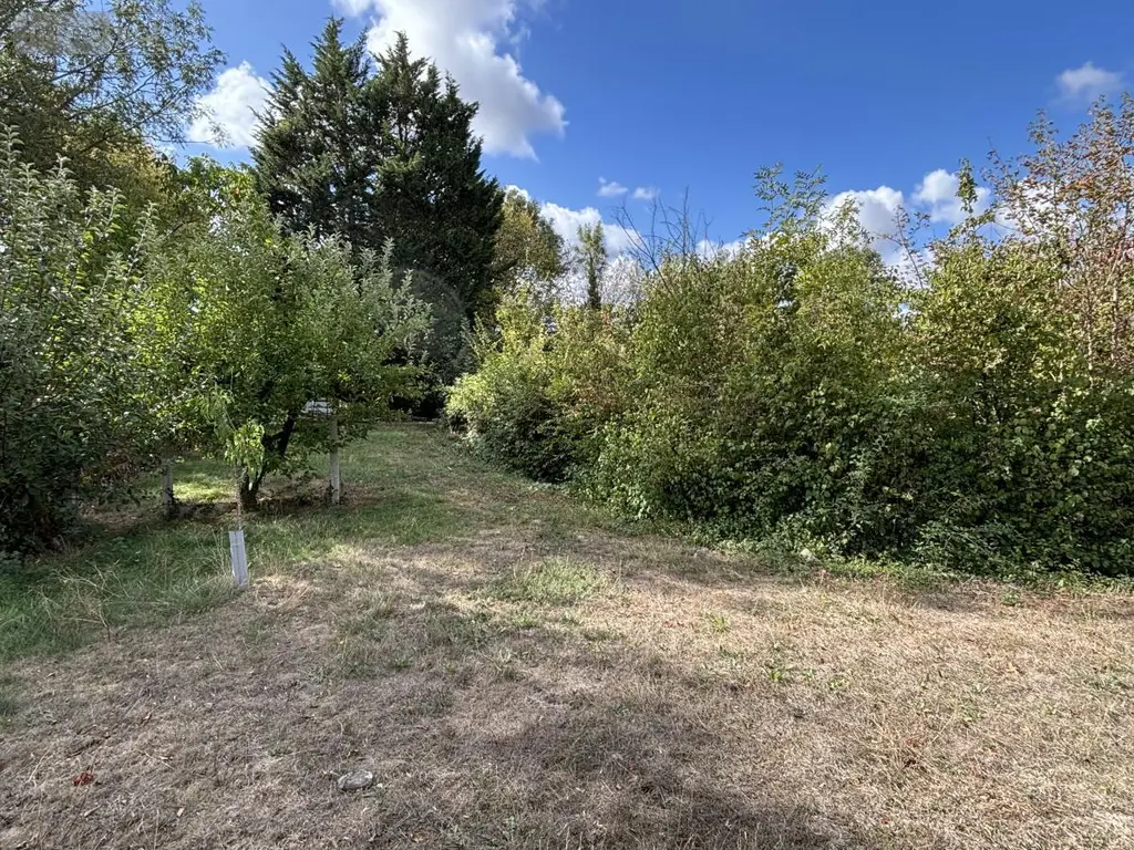 Terrains de loisirs bois etangs a vendre Beaumont-sur-Sarthe 72170 Sarthe 72 37640 euros 72126-3245 009